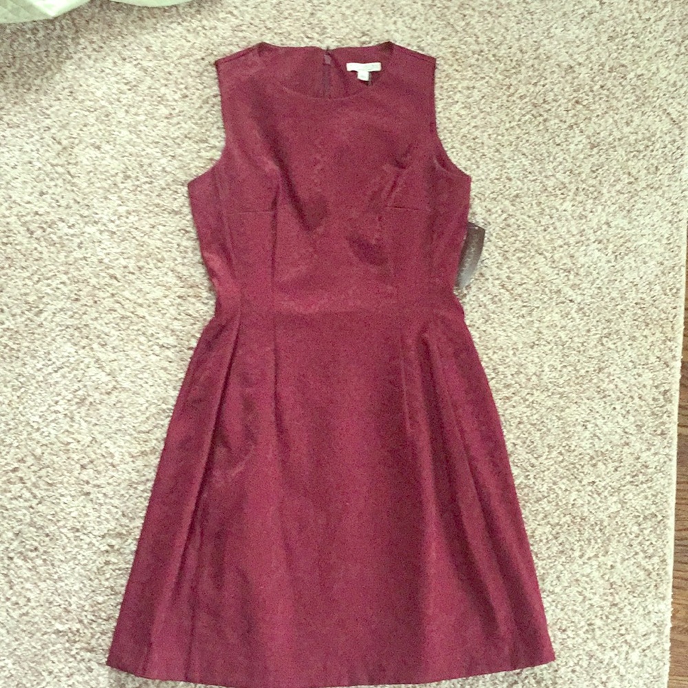 NWT New York & Company Eva Mendes Dress